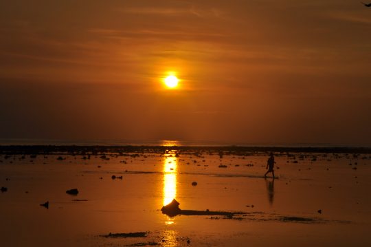 _DSC0114