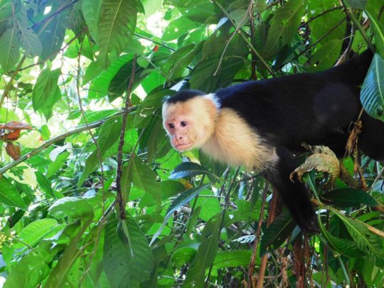 10 razones para ir a Costa Rica con niños