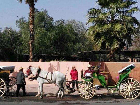 Mateos - Mezquita Koutoubia