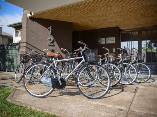 Bicicultura