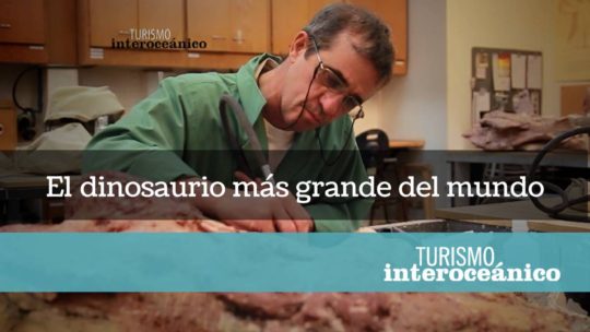 El Dinosaurio más grande del mundo